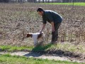 allenamento su quaglie