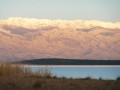 Starne mare e montagna 