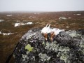 Il sogno di un cacciatore di montagna